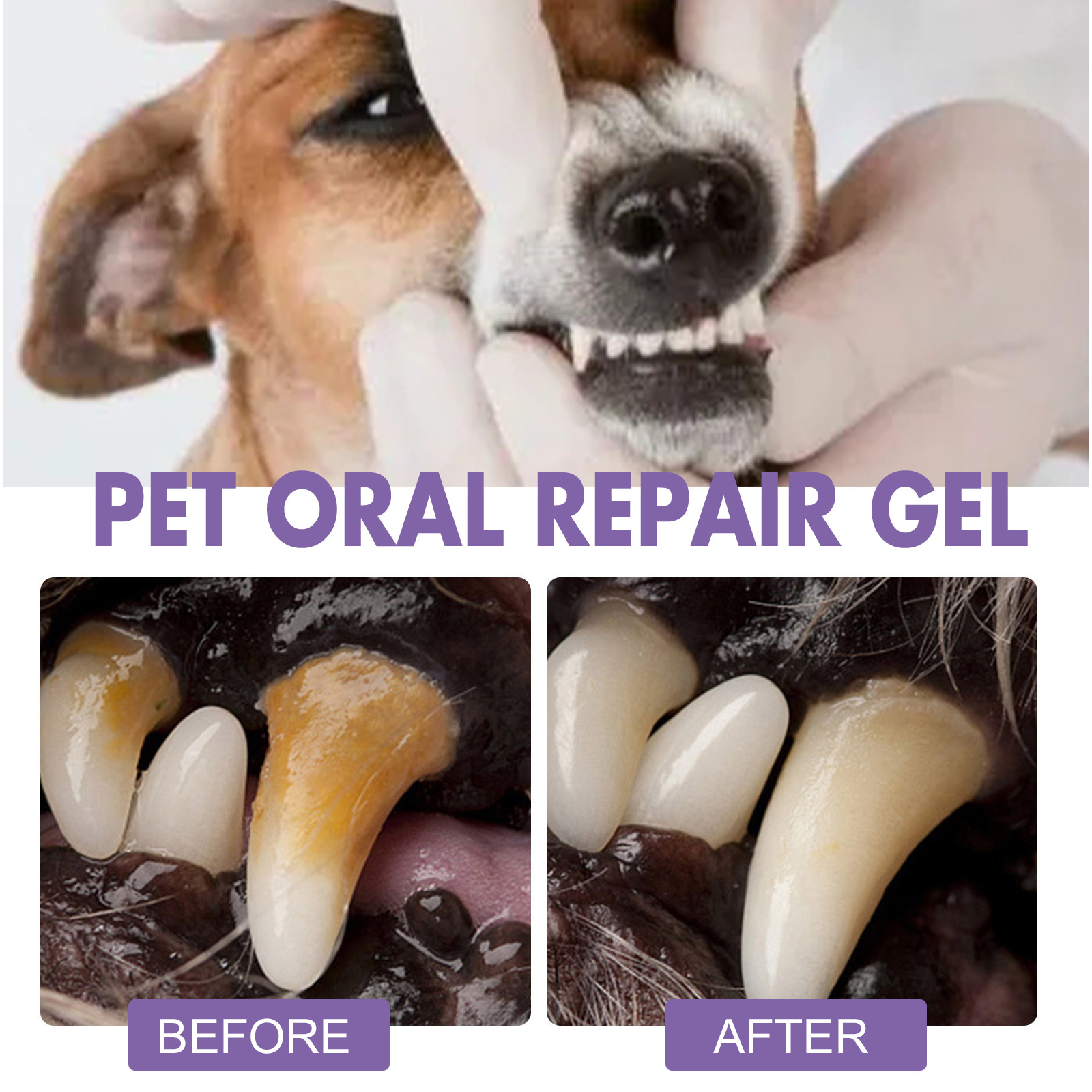 Pet Oral Repair Gel Puppy Tart - مراجعة Teeth Whitening From Home وسعره