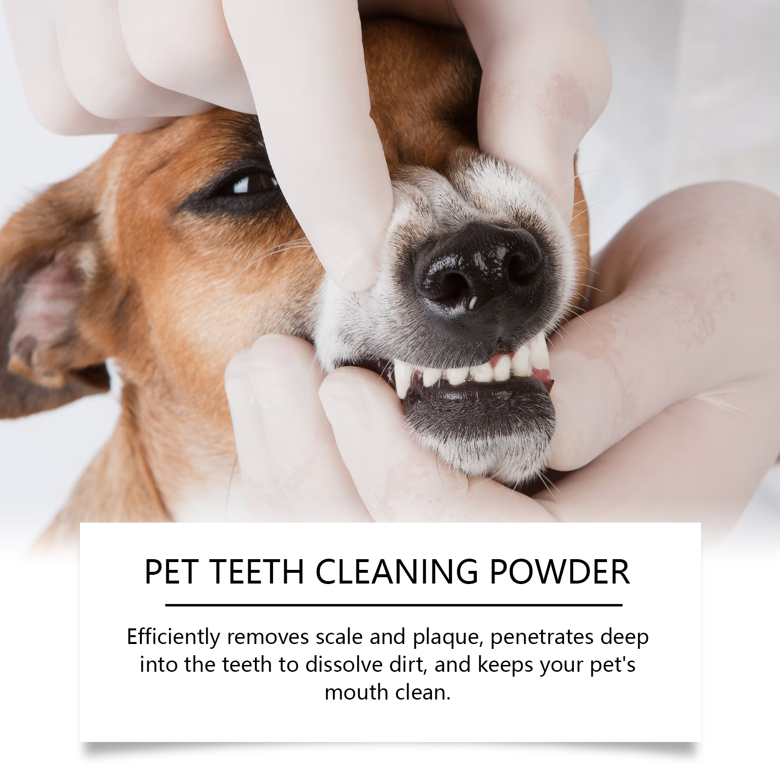Pet Teeth Cleaning Powder Redu - مراجعة Teeth Whitening From Home وسعره